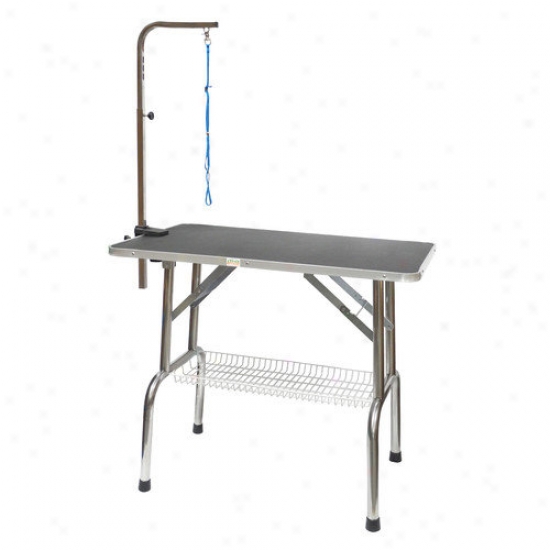 Go Pet Club Heavy Duty Stainless Steel Dog Grooming Table With Arm