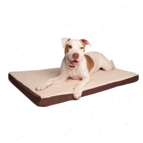 Great Paw Comfort Crate Memory Foam Dog Bed