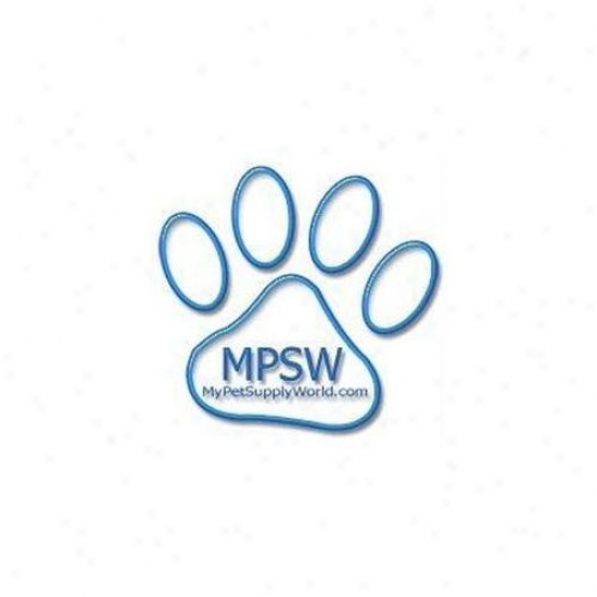 Hamilton Pet Party - Lead Snglloop Nyln With Snp Card- Red 1 X 6 - C Slo 6rd