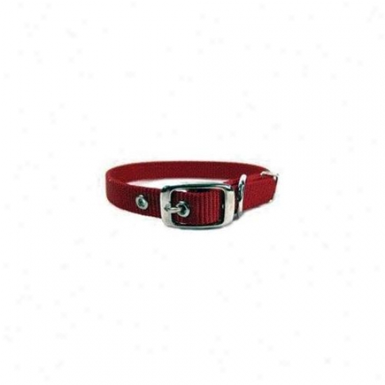 Hamilton Pet Company - Single Thick Nylon Dog Collar- Red . 63 X 16 - St 16rd