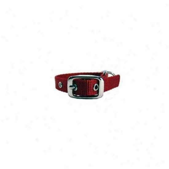 Hamilton Pet Company - Single Thick Nylon Dog Collar- Red . 63 X 21 - St 12rd
