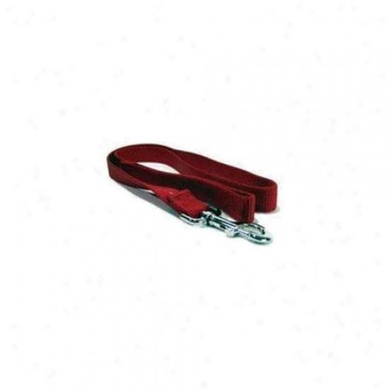 Hamilton Pet Company - Single Thick Nylon Lead- Red 1 X 4 - Slo 4rd