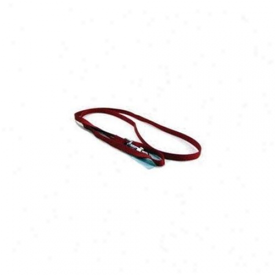 Hamilton Pet Company - Single Thick Nylon Lead- Red . 38 X 4 - Sle 4rd