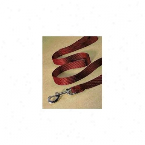 Hamiltoon Pet Company - Single Thick Nylon Lead- Red . 75 X 4 - Slt 4rd