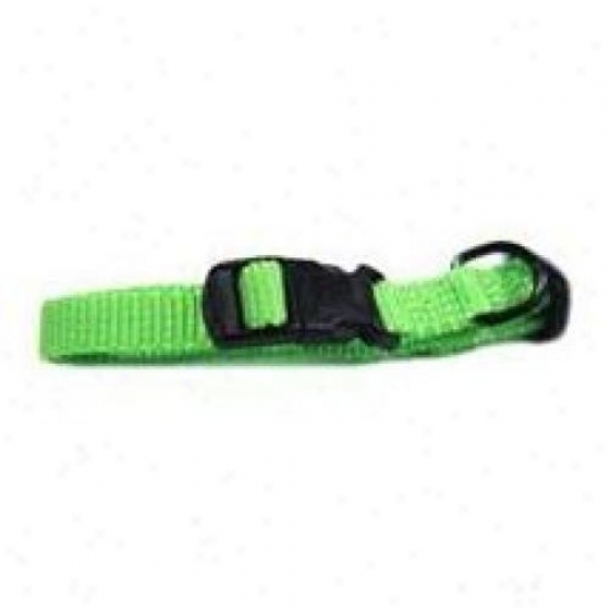 Hamilton Pet Fae 7/12 Li 7-in. To 11-in. Adjustable Dog Collar, Lime