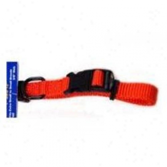 Hamilton Pet Fal 18/26 Ma 18-in. To 26-in. Adjustable Dog Put a ~ on, Mango