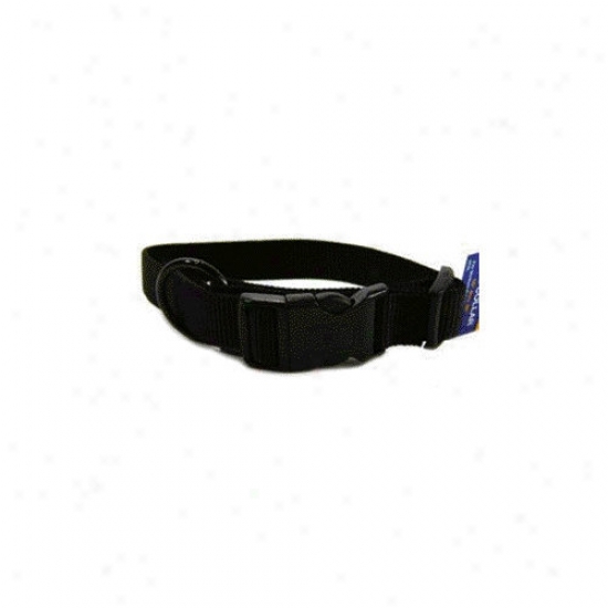 Hamilton Pet Products Adjustable Dog Collar In Black