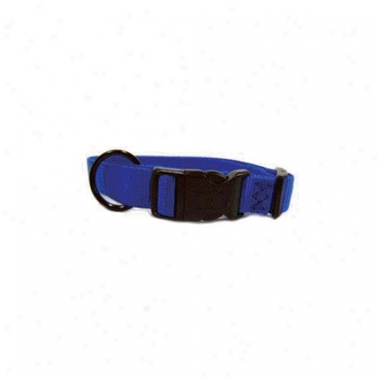 Hamilton Pet Products Adjustable Dog Collar In Blue