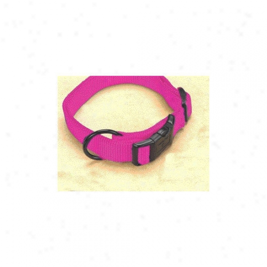 Hamilton Pet Products Adjustable Dog Collar In Hot Pink