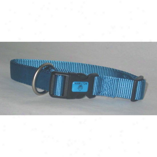 Hamilton Pet Products Adjustable Dog Collar In Ocean