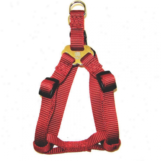 Hamilton Pet Products Adjustable Easy-on Harness In Red