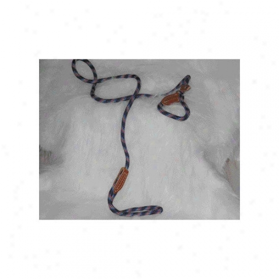 Hamilton Pet Products Adjustable Polyrope London Quick Pass Combo In Purple