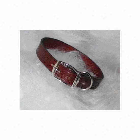 Hamilton Pet Products Creased Leather Collar In Burgundy