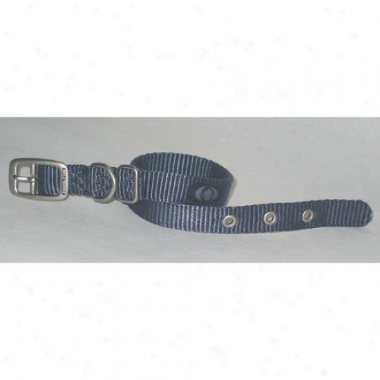 Hamilton Pet Products Dog Collar In Gray