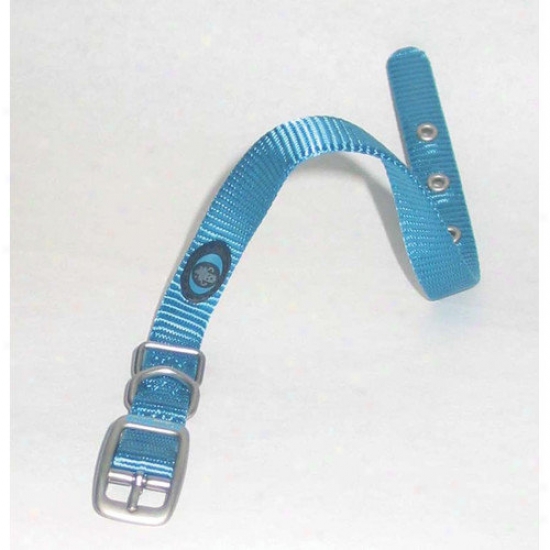 Hamilton Pet Products Dog Collar In Sea
