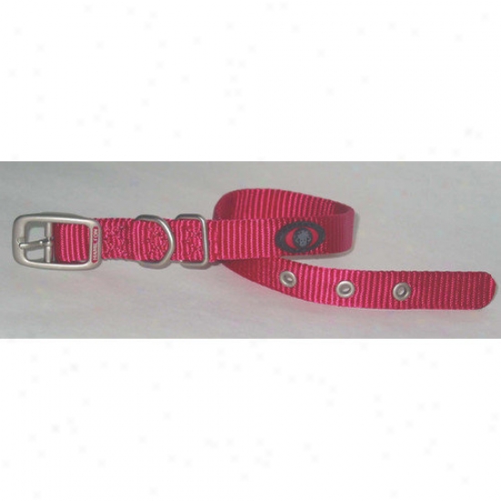 Hamilton Pet Products Dog Collar In Pink