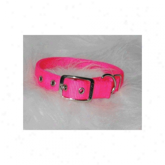 Hamilton Pet Products Double Thick Nylon Deluxe Dog Collar In Hot Pink
