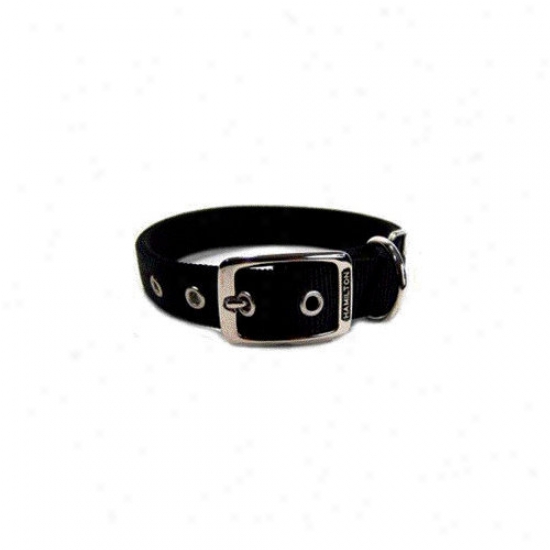 Hamilton Pet Products Double Thick Nylon Deluxe Dog Collar In Black