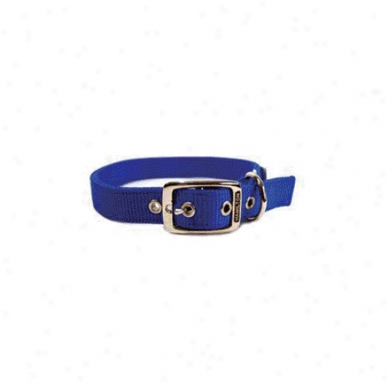 Hamilton Pet Products Double Thick Nylon Deluxe Dog Collar In Blue