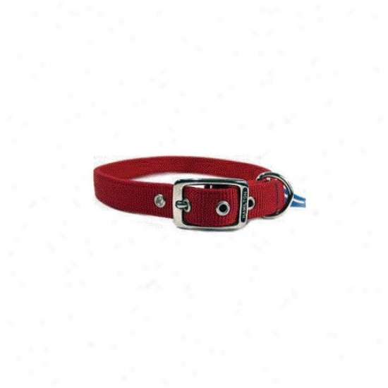 Hamilton Pet Products Double Thick Nylon Deluxe Dog Collar In Red