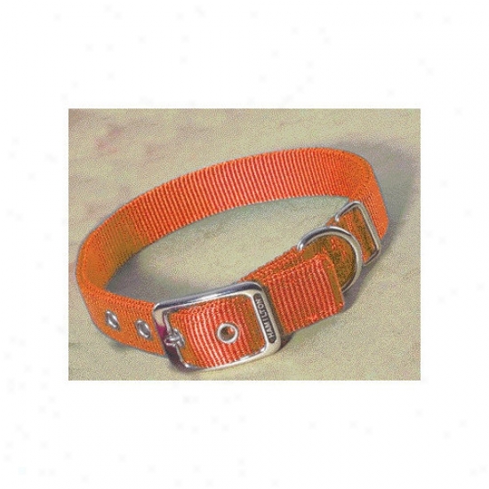 Hamilton Pet Products Double Thick Nylon Deluxe Dog Collar In Mango