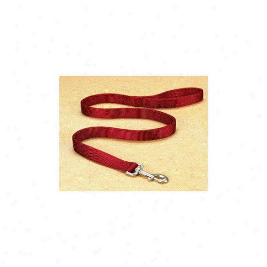 Hamilton Pet Products Double Thick Nylon Conduce With Snap In Red