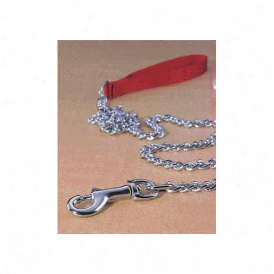 Hamilton Pet Products Fine Steel Chain Lead With Nylon Haft