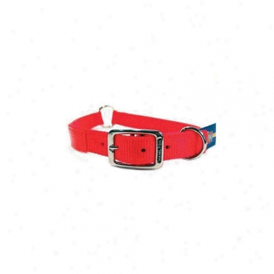 Hamilton Pet Products Safe-rite Dog Collar With Tape In Orange