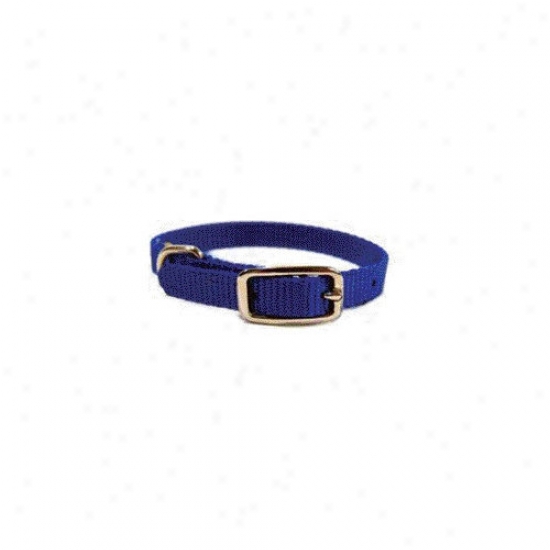 Hamilton Pet Products Single Thick Nylon Deluxe Dog Collar In Blue