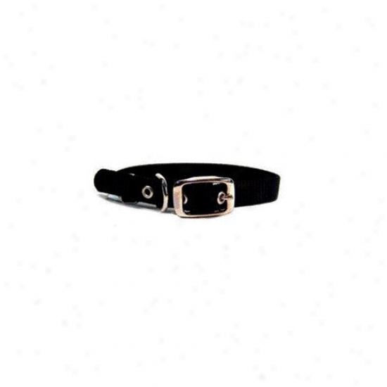 Hamilton Pet Products Single Thick Nylon Dog Collar In Mourning