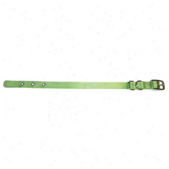 Hamilton Pet Products Sincere Thick Nylon Dog Collar In Lime