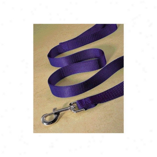 Hamliton Pet Products Sole Thick Nylon Lead With Snap In Purple