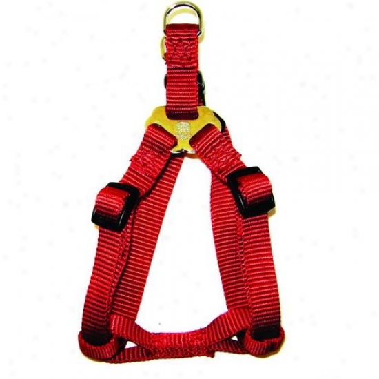 Hamilton Pet Sha Mdrd Adjustable Easy On Harness