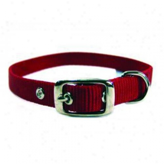 Hamilton Pet St 18rd Single Thick Nylon Dog Collar