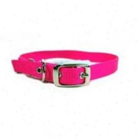 Hamilton Pet Ste 10hp 10-inch Single Thick Nylon Dog Collar, Pink