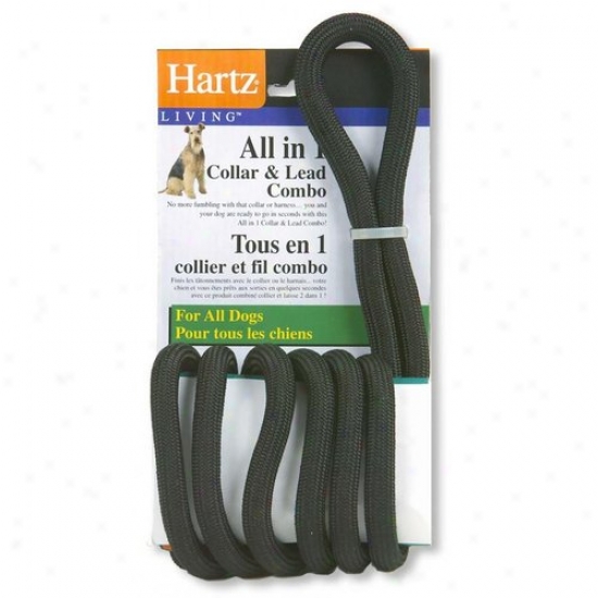 Hartz 98083 Living All In 1 Collar And Lead Combo