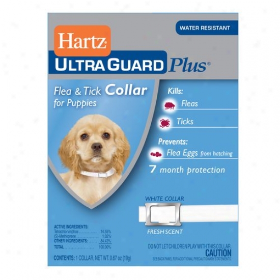 Hartz Ultraguaard Plus Flea And Click Puppy Collar