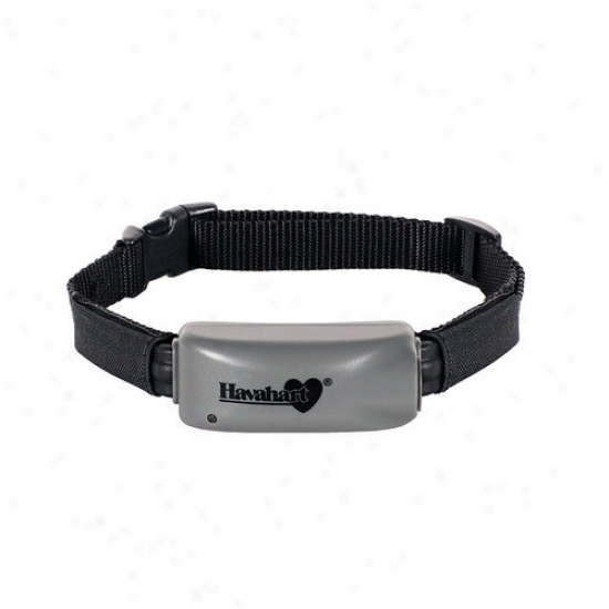 Havauart Wireless Radial Shape 2 Wireless Extra Dog Training Collar