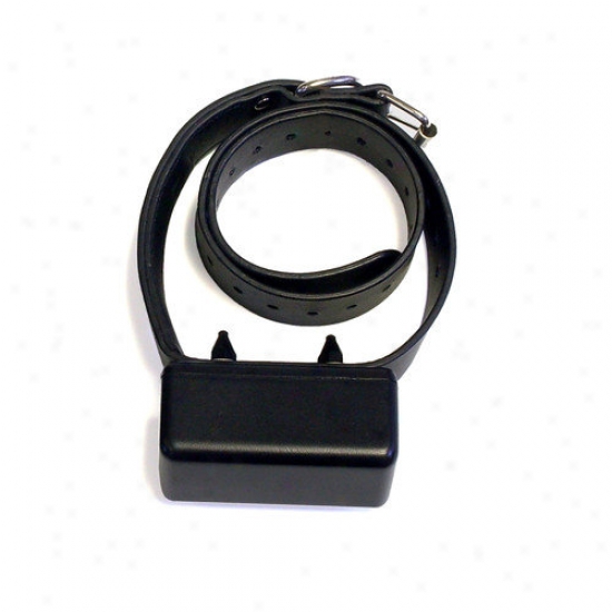 High Tech Pet Express Trainer Extfa Collar