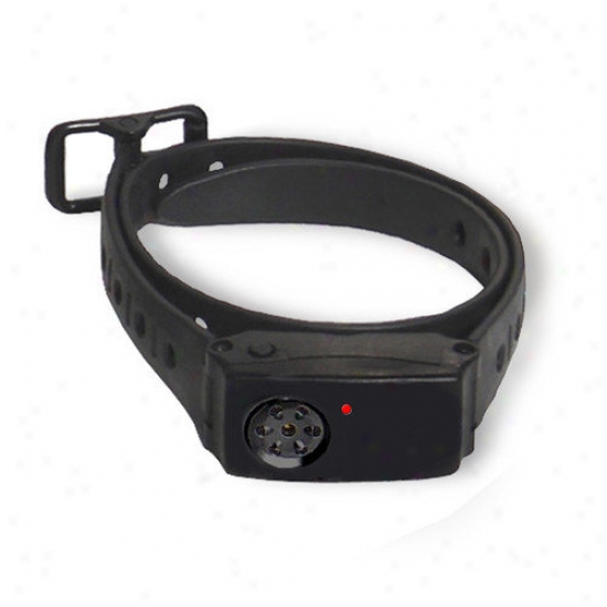 Dear Tech Pet Radio Collar Deluxe Electronic Fence