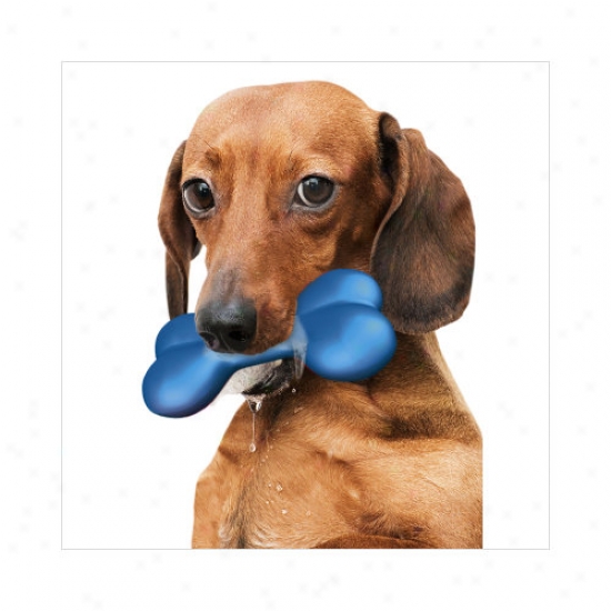 Hugs Pet Prdoucts Hydro Dog Bone