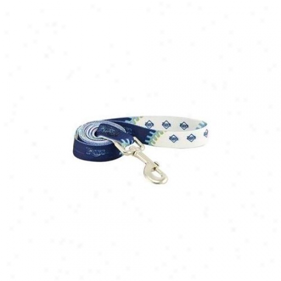 Hunter Mfg Dn-310761 Tampa Bay Rays D0g Leash