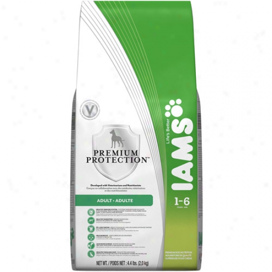 Iams Premium Protection Adult Dog Food, 4.4 Lb
