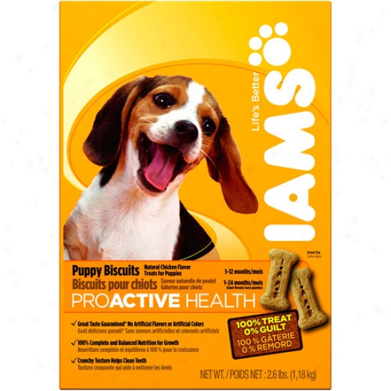Iams Proactive Health Puppy Biscuits, 2.6lb Box (1.18 Kg.)