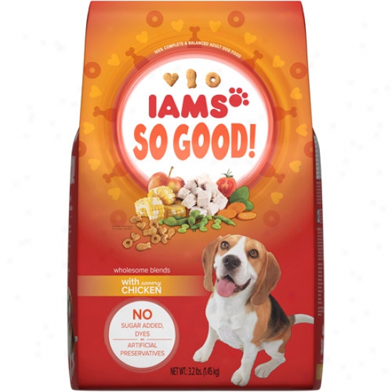 Iams So Good! Wholesome Blends With Savory Chicken Adult Dog Food, 3.2 Pounds
