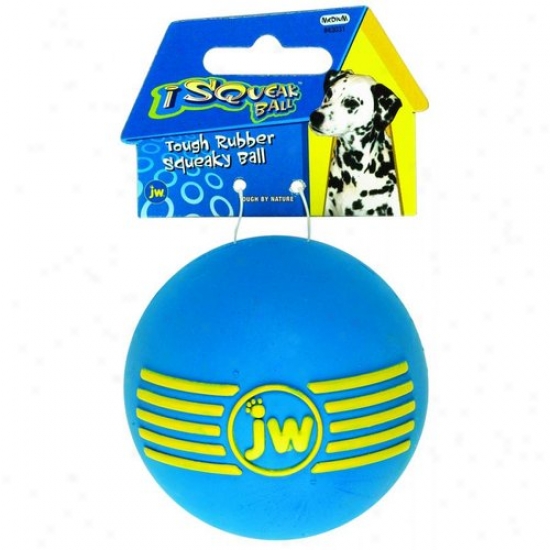Jw 43031 Isqueak Ball