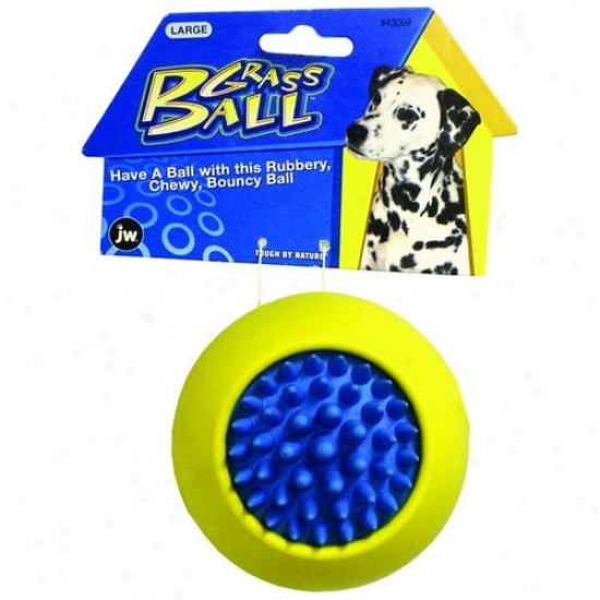 Jw 43069 Grass Ball