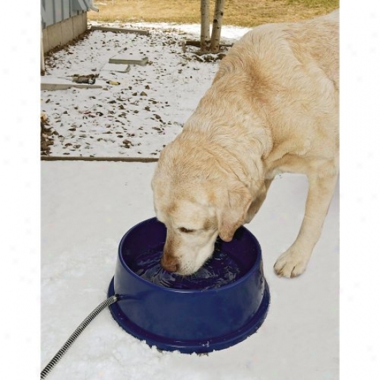 K&amp;h Manufacturing Pet Products Thermal Dog Bowl