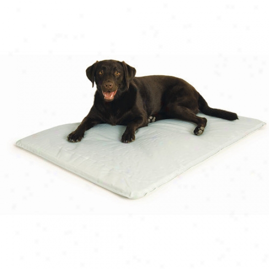 K&h Manufacturing Cool Bed Iii