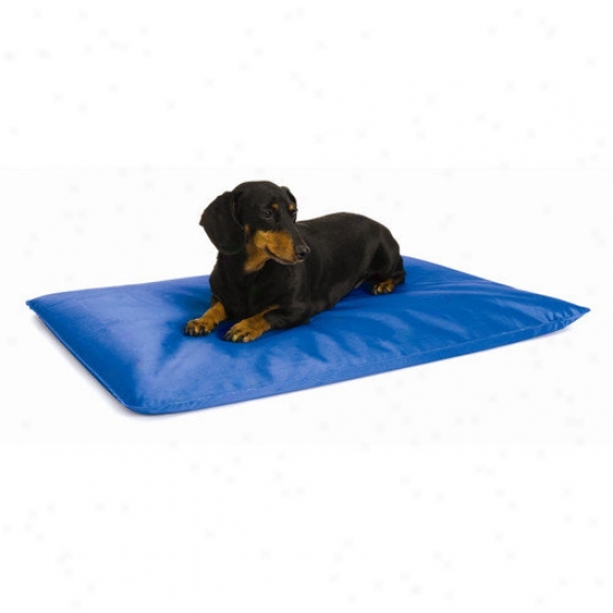 K&h Manufacturing Cool Dog Bed Iii  In Blue